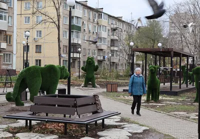 Доставка Чахан с курицей в Хабаровске - Ресторан Эхо