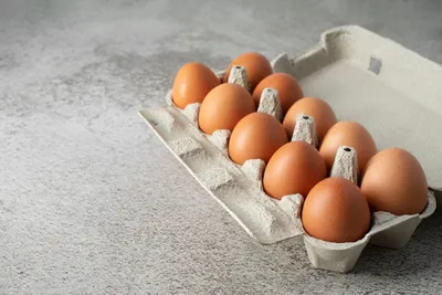 Названа основная причина повышения цен на яйца и курицу в Новосибирской  области | Infopro54 - Новости Новосибирска. Новости Сибири