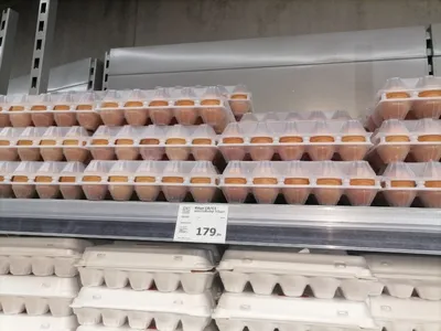 В Новосибирске цены на яйца достигли апогея: «Пора заводить кур на балконе»  | Новосибирская область | ФедералПресс