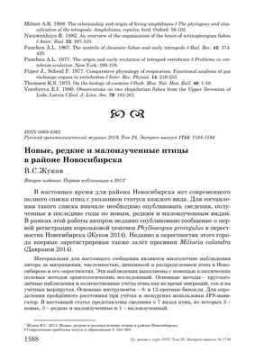 Новосибирск: кому доверяете своего марка? — Сообщество «Клуб Toyota Mark  II, Chaser, Cresta и их \"собратьев\"» на DRIVE2