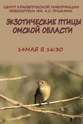 Птицы (орнитофауна) Омской области