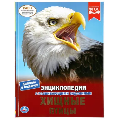 Гуси – отцы-молодцы | 23.07.2023 | Новости Орска - БезФормата