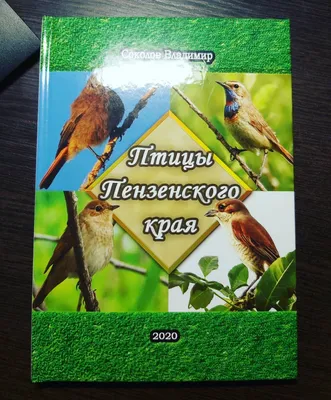 Куриные яйца по цене золотых. Редакция 1pnz проверила цены на яйца в Пензе