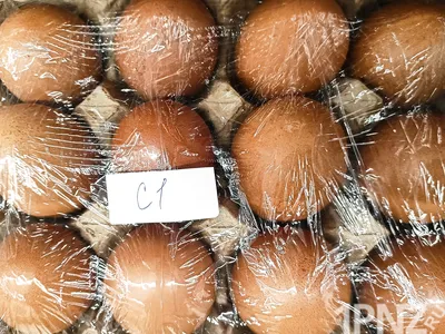 В Пензе цены на куриные яйца бьют антирекорд - МК Пенза