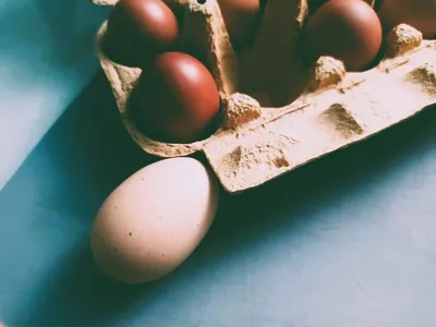 В Пензе продолжают дорожать куриные яйца | Пенза-Обзор - новости Пензы и  Пензенской области