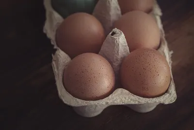 В Пензе цены на куриные яйца продолжили свой рост | Пенза-Обзор - новости  Пензы и Пензенской области