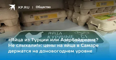 Вывел цыплят и завел личное подсобное хозяйство»: юный фермер из Самарской  области открыл дело в 14 лет - KP.RU