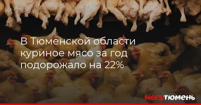 В Тюмени курятина подорожала почти на 25%: когда упадут цены? |  nashgorod.ru | Дзен
