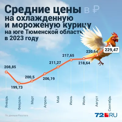 Прокуратура проверит место сожжения больных кур в Тюмени / 12 мая 2022 |  Тюмень, Новости дня 12.05.22 | © РИА Новый День