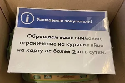 На крыше самого высокого здания Уфы поселились хищные птицы - Новости - Уфа  - UTV