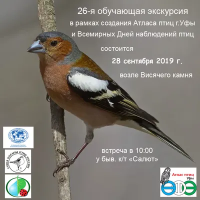 С заботой о пернатых 🙌 В столице дан старт экологической акции. 🏁 22  ноября началась городская.. | ВКонтакте