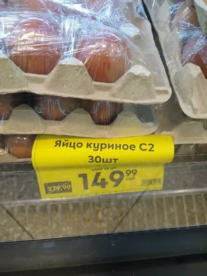 Ульяновским многодетным семьям продадут кур-несушек в 5 раз дешевле  рыночной цены | Главные новости Ульяновска
