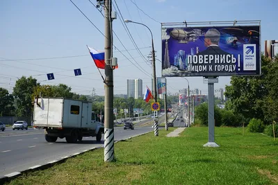 Ульяновцы нашли и отогрели замерзающую сову | Новости Ульяновска. Смотреть  онлайн