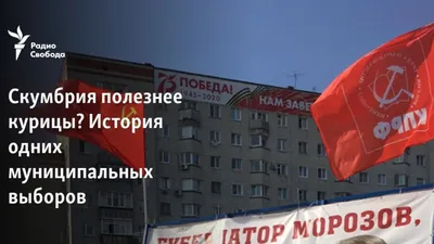 🐔Курица исчезает с полок российских магазинов