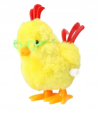 Цыпленок в очках (29 фото) | Смешные фотографии животных, Детеныши  животных, Милые животные