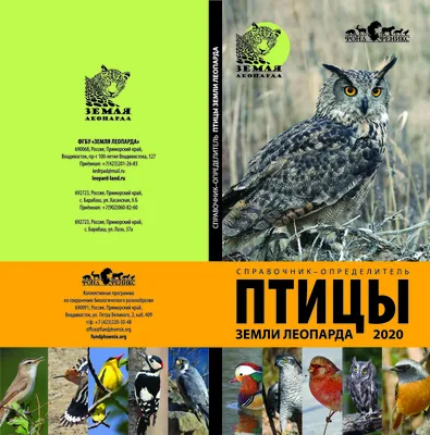 Почему во Владивостоке умирают птицы - 6 октября 2023 - vladivostok1.ru