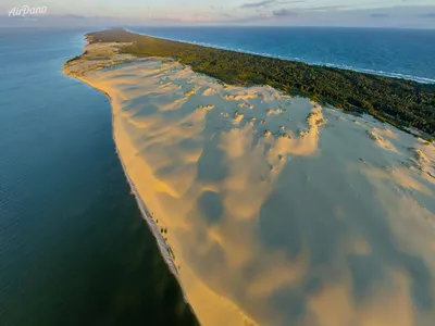 Куршская коса в Калининграде