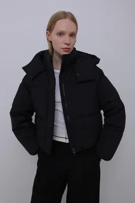 Мужские куртки и пиджаки Lacoste | Купить в интернет-магазине Lacoste