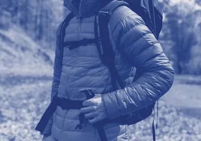 Мужские куртки и пиджаки Lacoste | Купить в интернет-магазине Lacoste