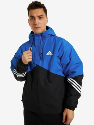 Куртка утепленная мужская adidas Back to Sport синий цвет — купить за 12999  руб. со скидкой 50 %, отзывы в интернет-магазине Спортмастер