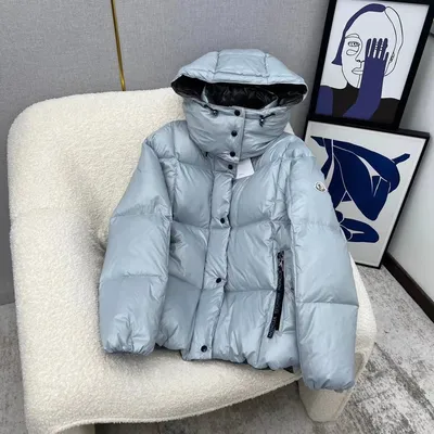 Зимняя куртка MONCLER Серебристая XXL (MO842023) от продавца: SBV world – в  интернет-магазине ROZETKA | Купить в Украине: Киеве, Харькове, Днепре,  Одессе, Запорожье, Львове