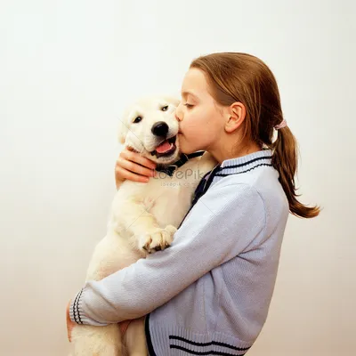 Девочка целует щенка лабрадора изображение_Фото номер 501476361_JPG Формат  изображения_ru.lovepik.com