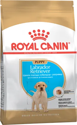 Royal Canin Labrador Retriever PUPPY 3 кг для щенков лабрадора: продажа,  цена в Харькове. Корма и лакомства для домашних животных и птиц от \