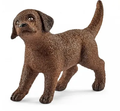 Купить Schleich 13835 Щенок лабрадора ретривера Labrador Retriever Puppy,  цена 175 грн — Prom.ua (ID#1548043687)