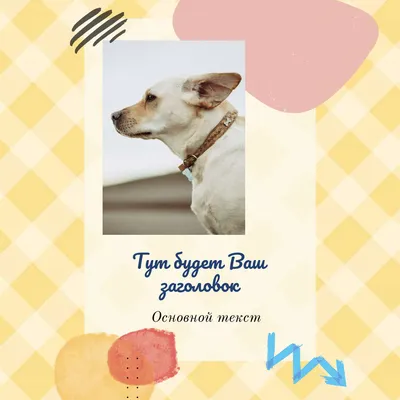 Пост для IG cветло-желтые ромбы на фоне фото собаки лабрадора с местом для  заголовка и текста | Flyvi