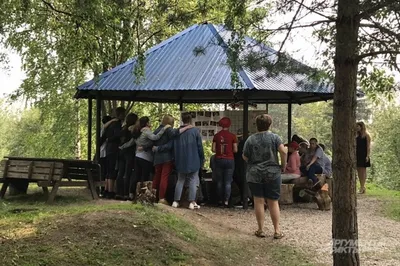 Отзывы о «Надежда», Пензенская область, Кузнецкий район, село Ульяновка,  Ленинская улица, 216 — Яндекс Карты