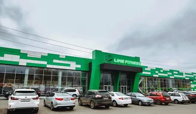 Первенство клуба \"Lime Fitness\" (Оренбург) по плаванию: фоторепортаж -  fitnessholding.ru