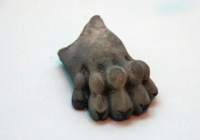 Monkey Paw