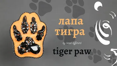 Photo Of A Tiger S Paws Background, Tiger Paw Picture, Animal, Mammal  Background Image And Wallpaper for Free Download