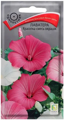 Семена цветов Лаватера Поиск Красотка смесь окрасок 0,3 г — цена в  Оренбурге, купить в интернет-магазине, характеристики и отзывы, фото