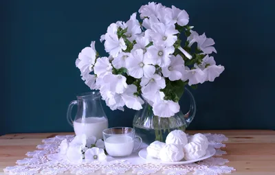 Обои белый, букет, молоко, зефир, лаватера картинки на рабочий стол, раздел  цветы - скачать