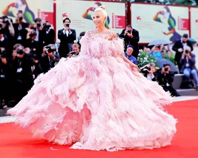 Леди Гага: платье из мяса и еще 60 фото ярких образов звезды - MILLZ KARTA  Media