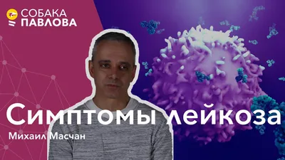 Лейкоз (лейкемия, рак крови): причины, симптомы, сколько живут