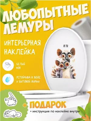 Наклейка на унитаз Лемуры и коты в подарок Концепт НН 178039197 купить за  122 ₽ в интернет-магазине Wildberries