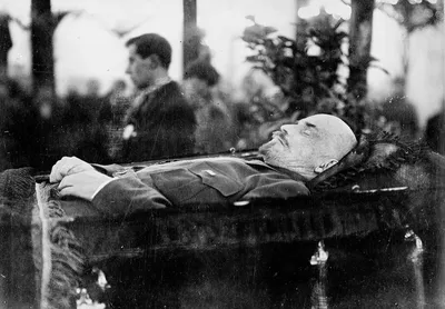 Ванна для вождя: Как тело Ленина берегут от порчи и журналистов — Bird In  Flight