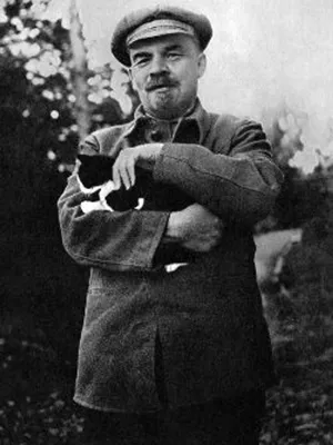 Владимир Ленин (Ульянов) – биография, фото, путь к власти, жена и дети,  причина смерти | Узнай Всё