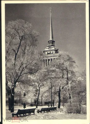 Открытка СССР 1966 г. Ленинград. Адмиралтейство, зима, снег фото  Лаврентьева СХ чистая - купить на Coberu.ru (цена 44 руб.)