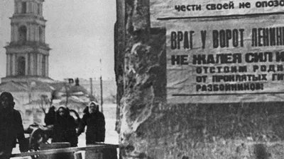 Блокадный Ленинград вызывал патологическую ненависть у нацистов — историк -  ИА REGNUM