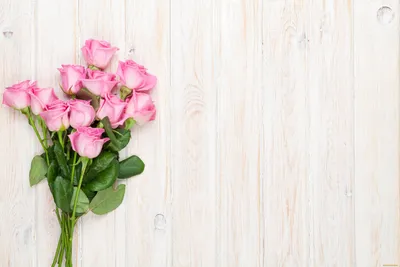 Обои Цветы Розы, обои для рабочего стола, фотографии цветы, розы, лента,  праздник, открытка, букет Обои для рабочего стола, скачать обои картинки  заставки на рабочий стол.