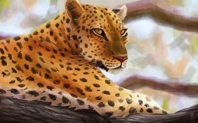 Леопард картинки животного - 79 фото
