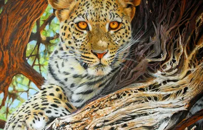 Обои Леопард, Взгляд, Картина, Морда, Хищник, Большая кошка, Британский  художник-анималист, Pip McGarry, Пип МакГарри, Убежище леопарда картинки на  рабочий стол, раздел живопись - скачать