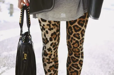 Как стильно носить леопардовые лосины - стилист поделилась базовыми  формулами - фото - Телеграф