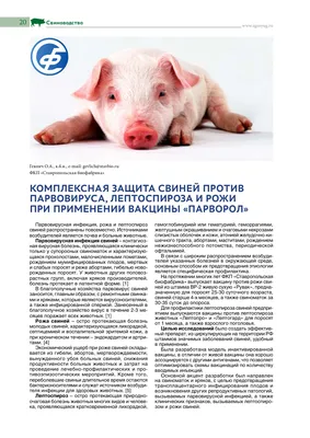 Лордоз и кифоз - Атлас патологий свиней - pig333.ru, от фермы к рынку