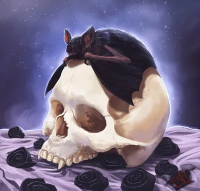 Фото Летучая мышь сидит на человеческом черепе лежащем на светлой ткани  рядом с черными цветами, на фоне ночного неба