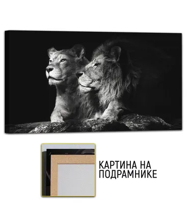 Постер Лев И Львица купить в интернет-магазине Postermarkt