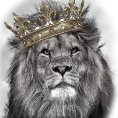 Лев с короной фото